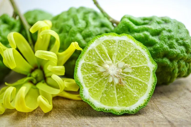 Bergamot: a natural tanner | Rivareno Bergamot: a natural tanner | Rivareno