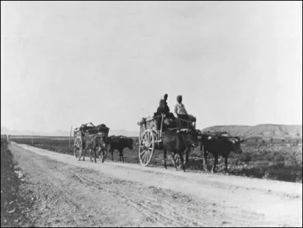 Повозка духоборов на дороге из Никосии в Ларнаку 1898 год