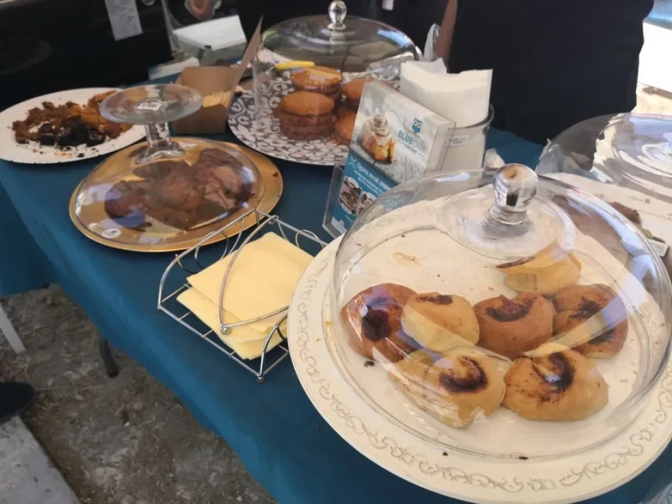 Первый веганский фестиваль на Кипре — Vegan Fam Festival: фото 42