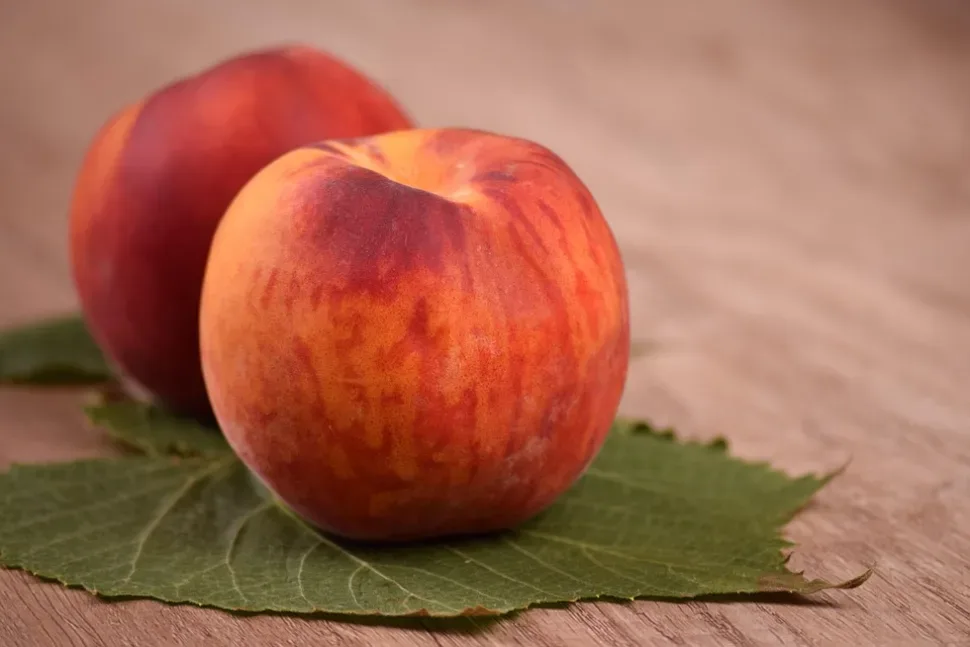 Food, Peach, Nectarine, Fruit, Fruits, Healthy Food