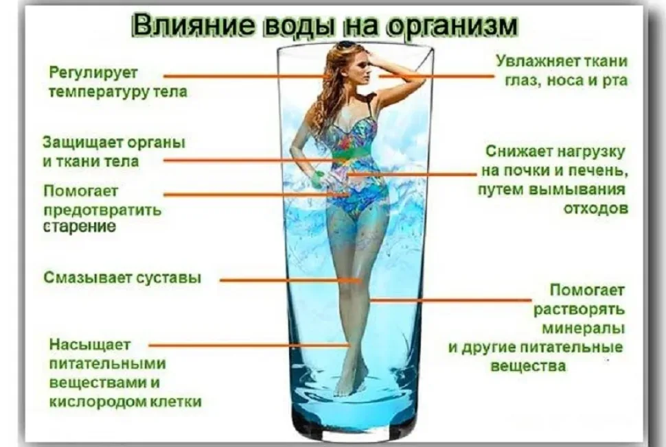Инфографика о пользе воды для организма с силуэтом человека в стакане