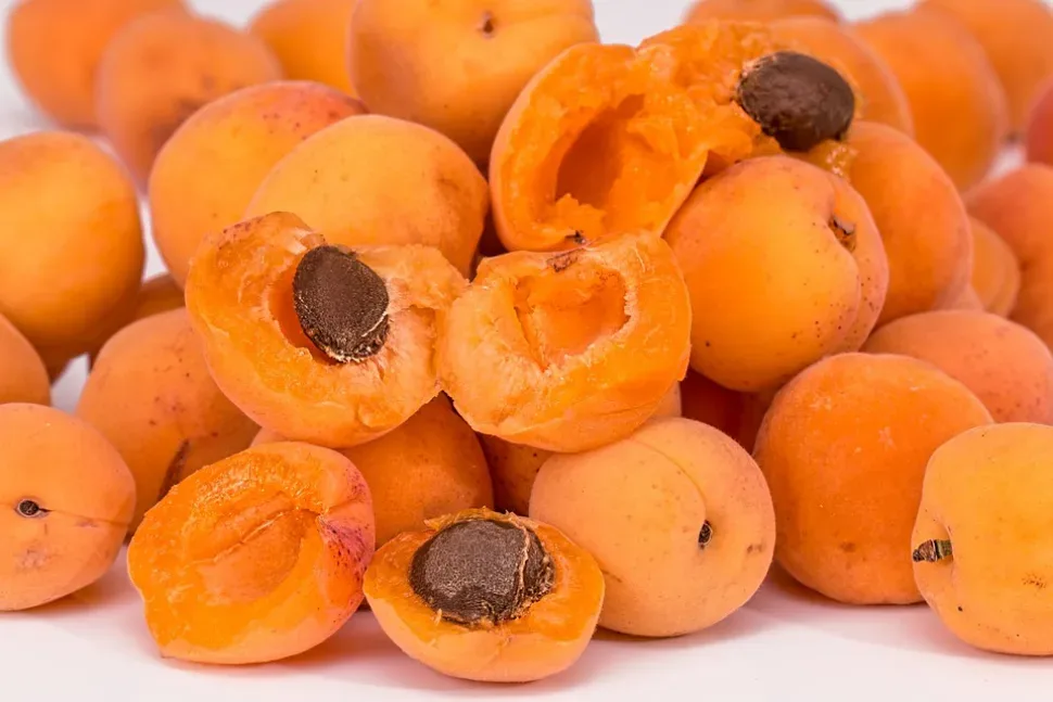 Apricots, Fruit, Pips, Ripe, Juicy, Fresh, Healthy