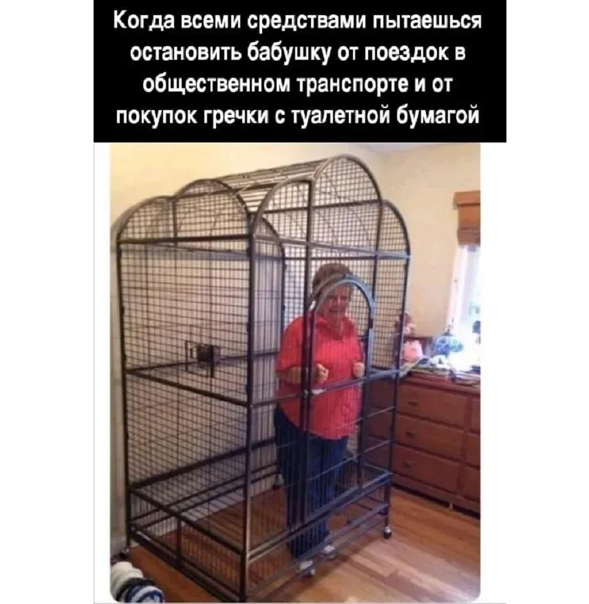 Мем с бабушкой у окна, держащей плакат «Need More Wine» на английском