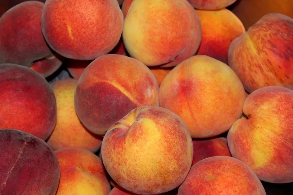 Peaches, Fruit, Mature, Food, Vitamins, Delicious